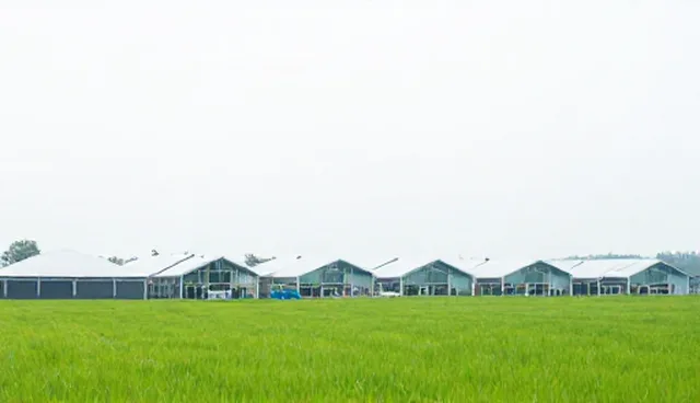 理解偏差：流程再造服务选型关注点分析